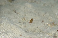 _dsf0892.jpg