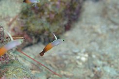 _dsf0895.jpg